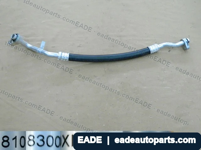 EADE GWM auto part OE 8108300XN16XA